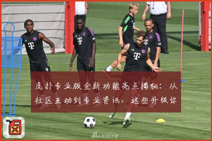 虎扑专业版全新功能亮点揭秘：从社区互动到专业资讯，这些升级你必须知道