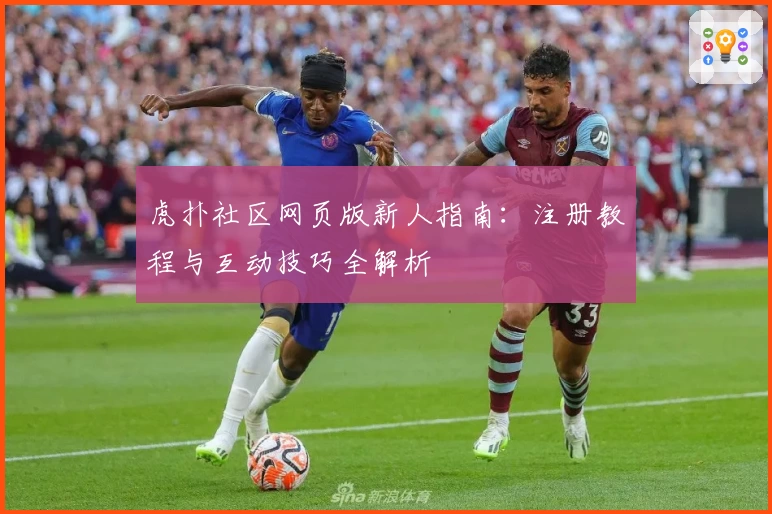 虎扑社区网页版新人指南：注册教程与互动技巧全解析