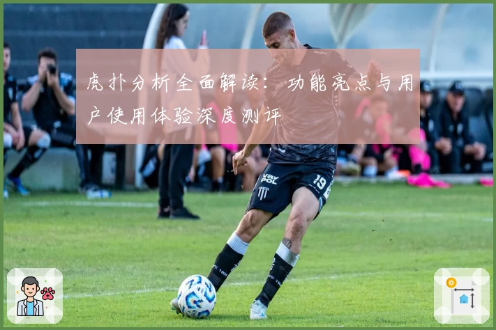 虎扑分析全面解读：功能亮点与用户使用体验深度测评