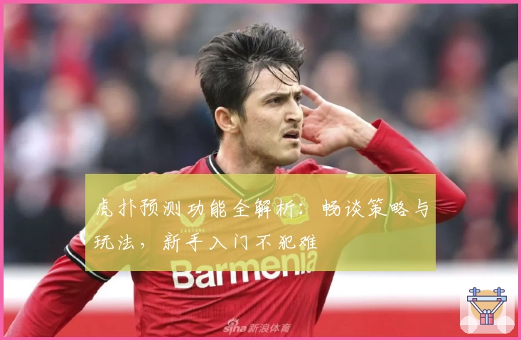 虎扑预测功能全解析：畅谈策略与玩法，新手入门不犯难